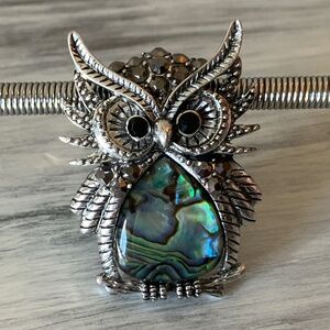 Abalone Shell Owl Pendant